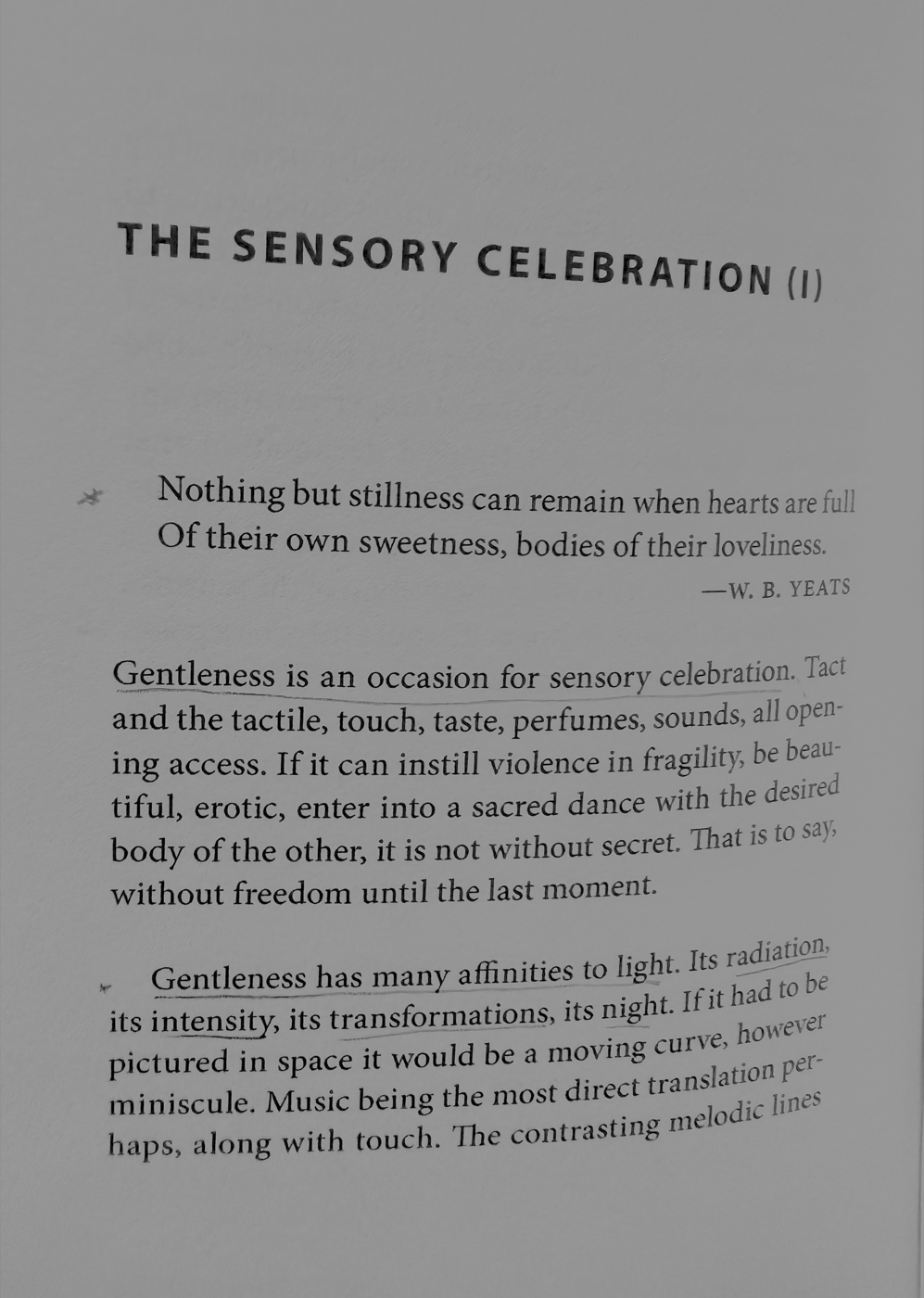 Power of Gentleness